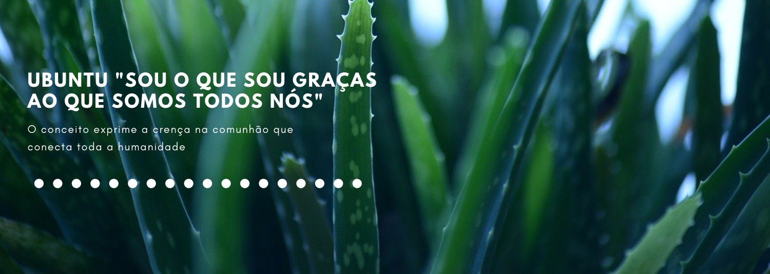 Banner1